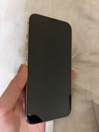 iPhone 13 Pro Dorado