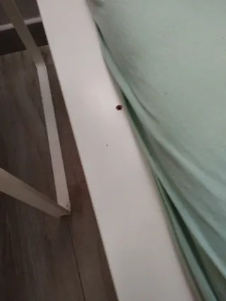 Cama individual blanca con cajones