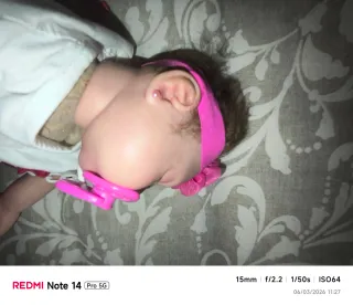 Muñeca Reborn realista con pelo