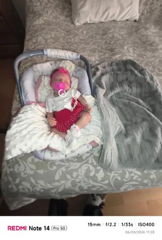 Muñeca Reborn realista con pelo