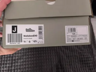 Zapatos Clarks Wallabee EVO Hombre Marrón