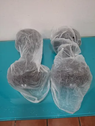 Par Mancuernas Neopreno 10kg