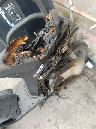 Ciclomotor Polini Typhoon para piezas