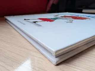 LAS CHICAS Y LOS CHICOS TAMBIEN PUEDEN