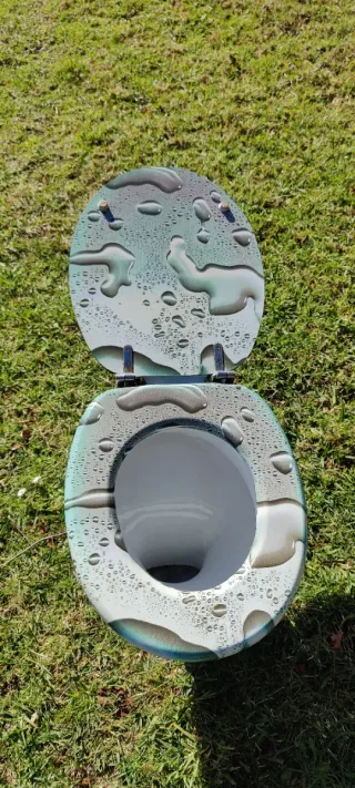 Inodoro con tapa color turquesa y blanco