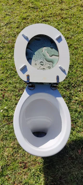 Inodoro con tapa color turquesa y blanco