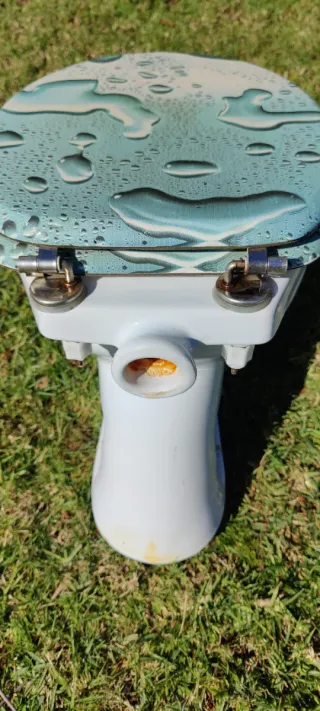 Inodoro con tapa color turquesa y blanco