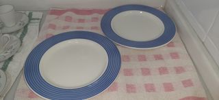 Platos blancos y con ribete azul.