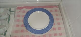 Platos blancos y con ribete azul.
