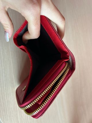 Monederos plateado y rojo