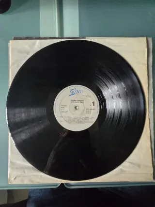 Vinilo Gloria Estefan - Cuts Both Ways