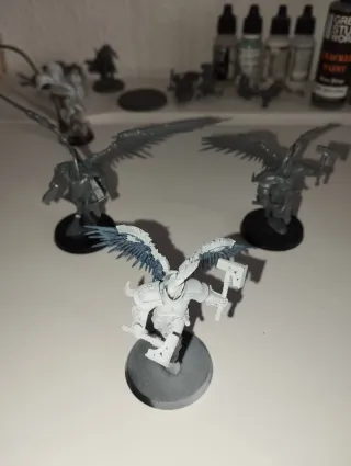 3 Prosecutors y 5 Liberators (Warhammer)