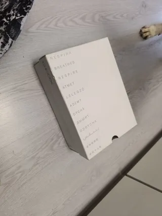 Zapatos negros mujer