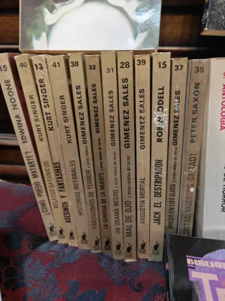 Colección de 27 libros antiguos de terror. Variado