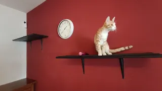 Montaje muebles Ikea y Leroy Merlín