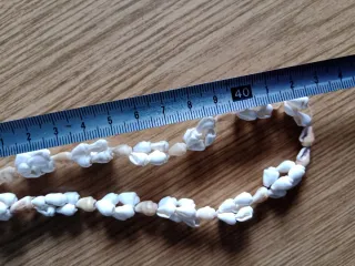 Collar de conchas marinas