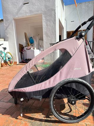 Carro Hauck Dryk Duo Rosa