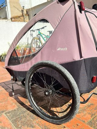 Carro Hauck Dryk Duo Rosa