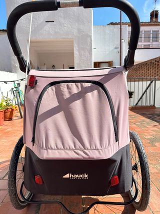 Carro Hauck Dryk Duo Rosa