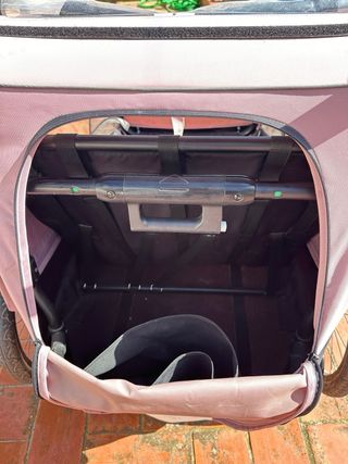 Carro Hauck Dryk Duo Rosa