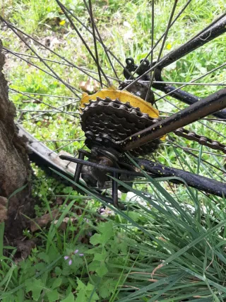 Bicicleta de Montaña Negra