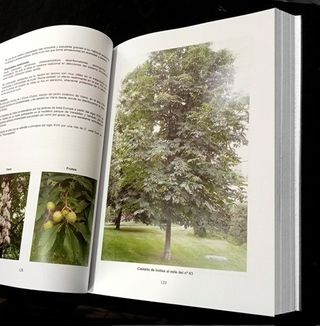 FLORA. LOS ARBOLES DE LA URBANIZACION. LAS HUERTAS