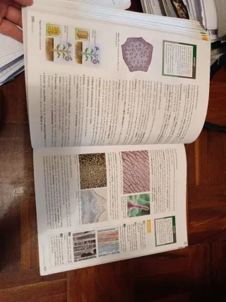 Inicia Biología y Geología 1.º Bachillerato. Li...