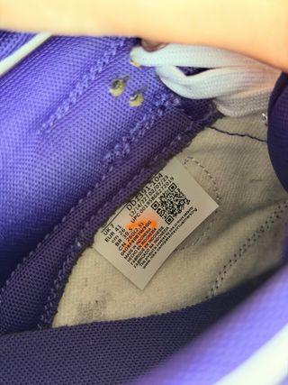 Nike Dunk Low Championship Purple