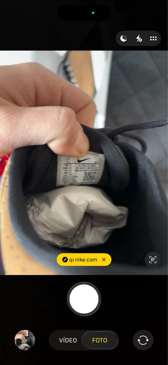 Nike ACG Goadome low Marrón/Negro