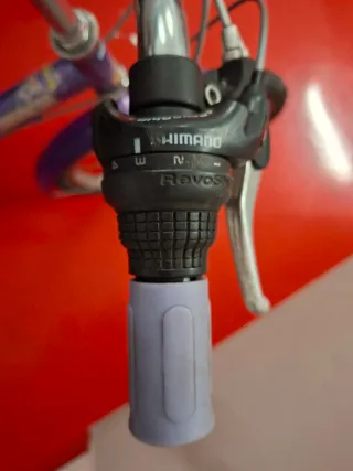 Bicicleta infantil morada