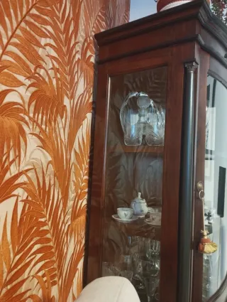 Vitrina de madera y sillón de piel