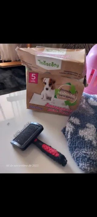 Lote Accesorios Perros/Gatos