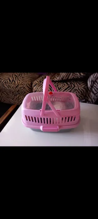 Lote Accesorios Perros/Gatos