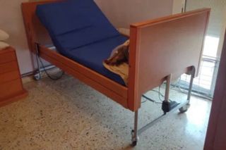 Cama ortopédica elevable con colchón