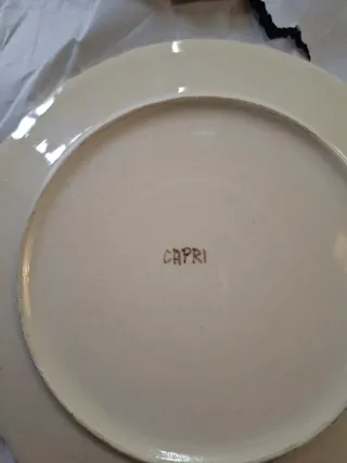 5 Piatti in Ceramica dipinta