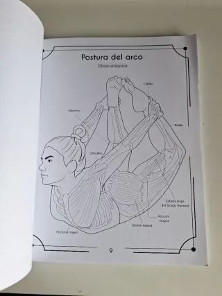 Anatomía Del Yoga Libro Para Colorear: Una Nuev...