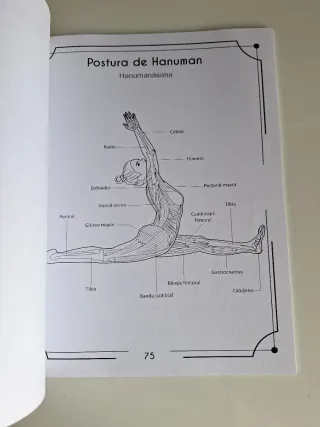 Anatomía Del Yoga Libro Para Colorear: Una Nuev...