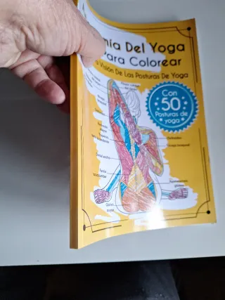 Anatomía Del Yoga Libro Para Colorear: Una Nuev...