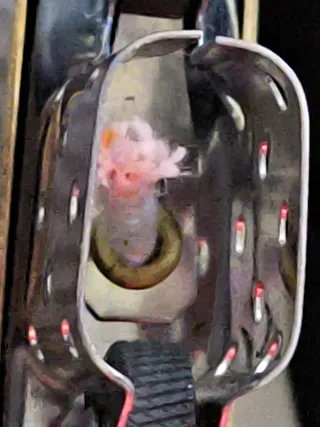 Zippo Dorado inciso e numerato