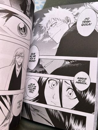 Tomos de Bleach Maximum