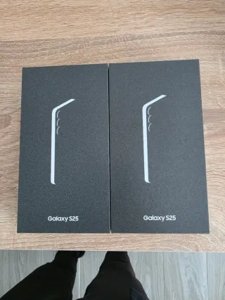 Samsung Galaxy S25 (Gris y Rosa)