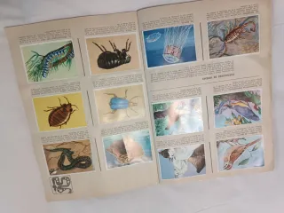 Álbum Historia Natural Cromos 1967 completo.
