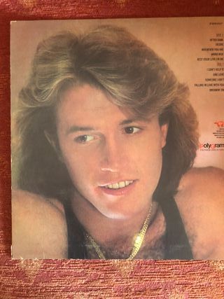 Andy Gibb - After Dark Vinilo
