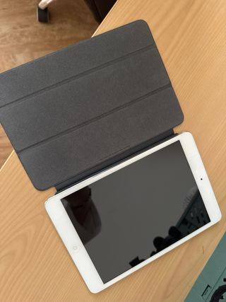 Apple iPad mini Plata