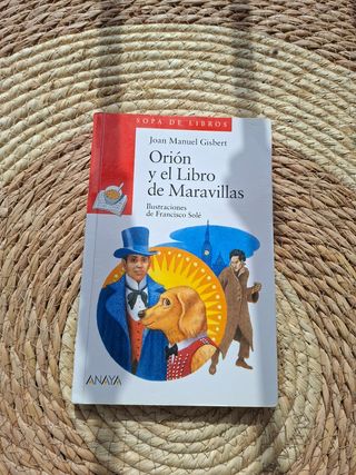 Lote de libros infantiles (8 a 10 años)