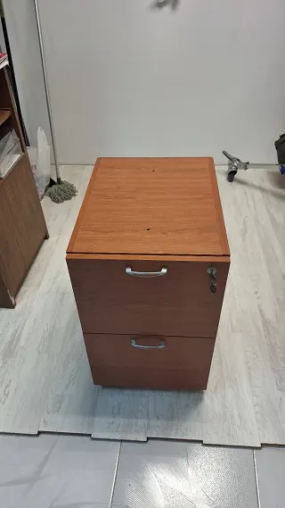 Mueble archivador con ruedas para carpetas