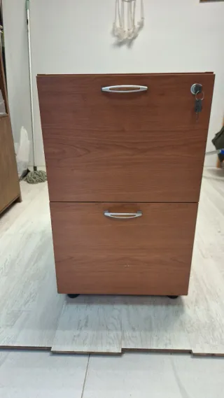 Mueble archivador con ruedas para carpetas