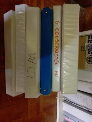 Lote de 5 archivadores