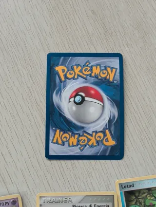 Lotto Carte Pokemon Marshtomp Stamped EX