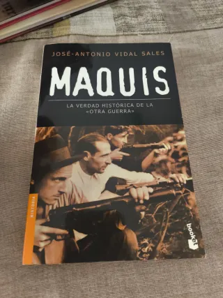 Maquis, la verdad histórica de la «otra guerra»